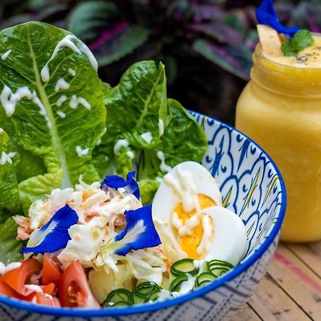 Mango Tree Eco-Hostel 다우인 외부 사진