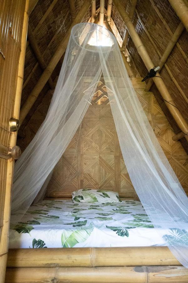 Mango Tree Eco-Hostel 다우인 외부 사진