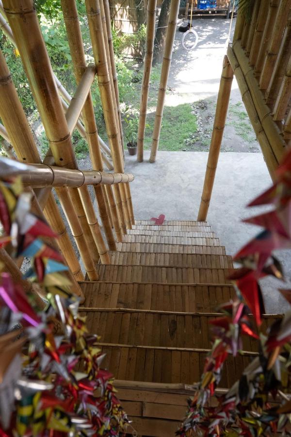 Mango Tree Eco-Hostel 다우인 외부 사진