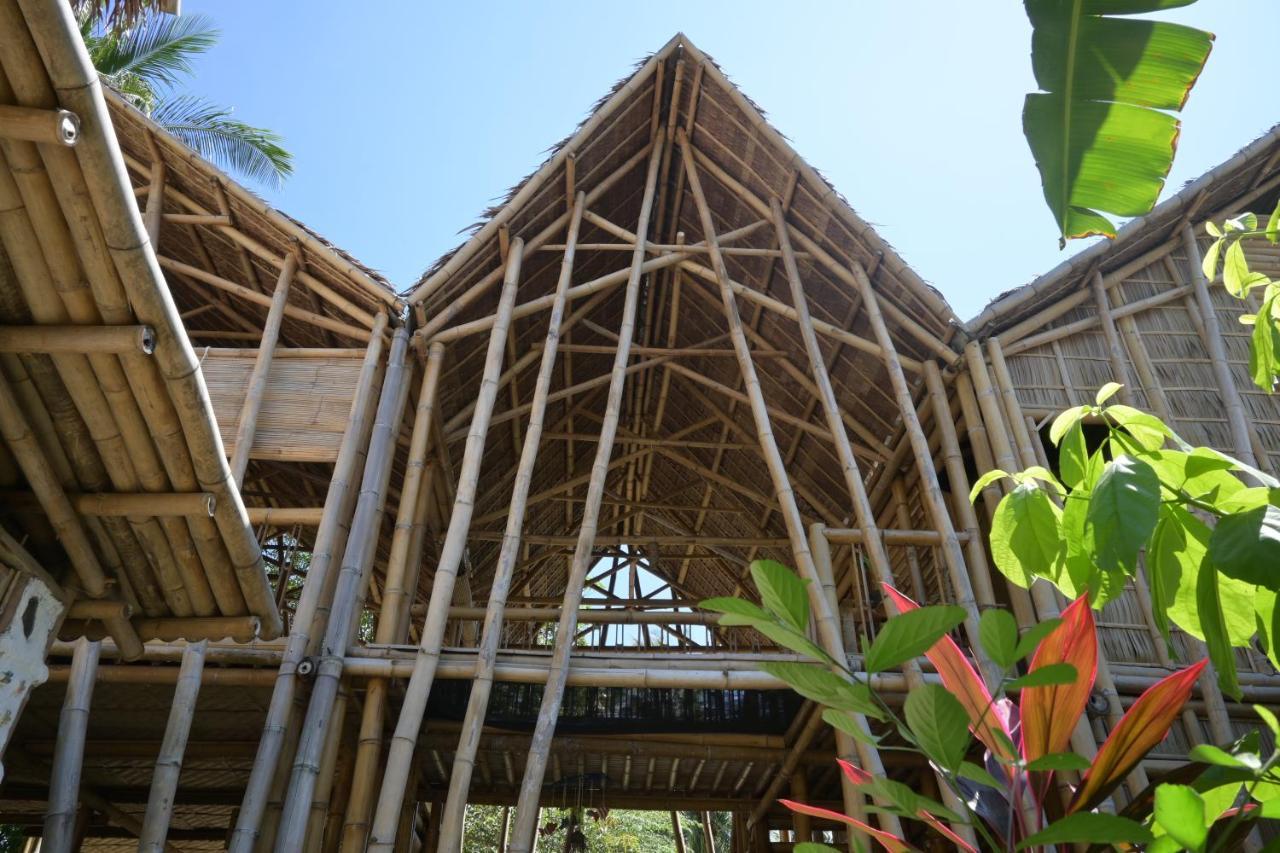 Mango Tree Eco-Hostel 다우인 외부 사진